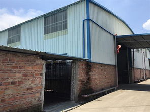 自建房加装电梯安全检测鉴定单位收费解析及行业动态